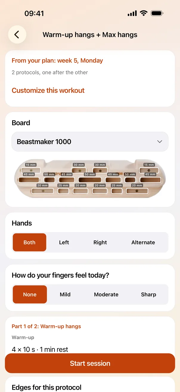 Workout setup: the plan day, the chosen Beastmaker 1000 board, hands, a finger-feel check, and the first protocol's sets and edges.